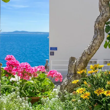 Family Friendly With A Swimming Pool Businci, Ciovo - 11232 Апартаменты *